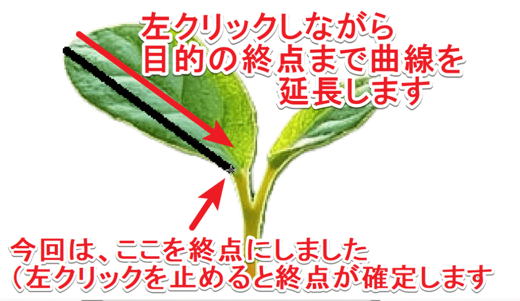 曲線ツールで直線を描き終わった段階（直線の終わりにあたる終点の位置の説明）