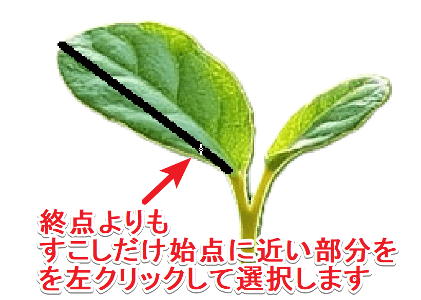 曲線の微調整（終点よりも少しだけ始点に近い位置を選択）