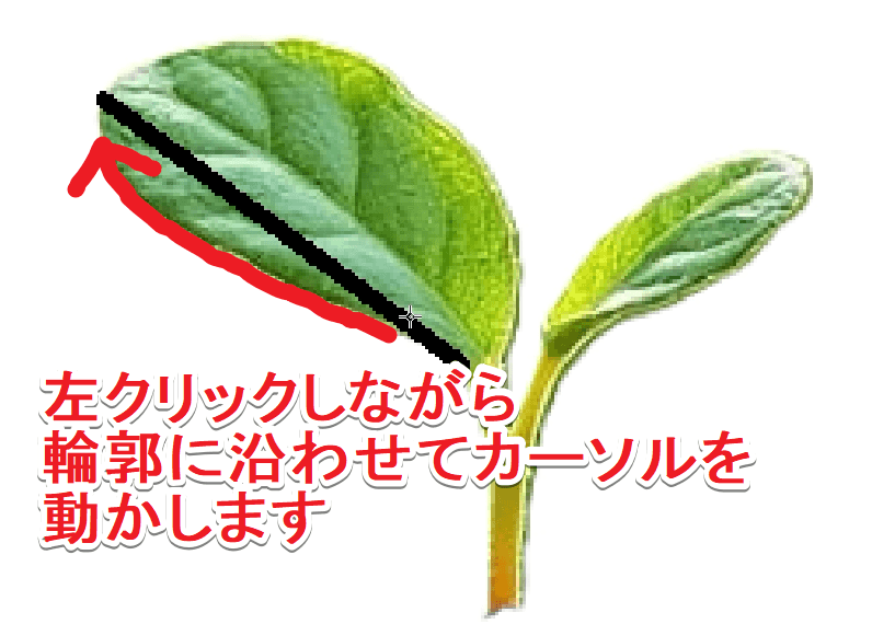 曲線の微調整の仕方