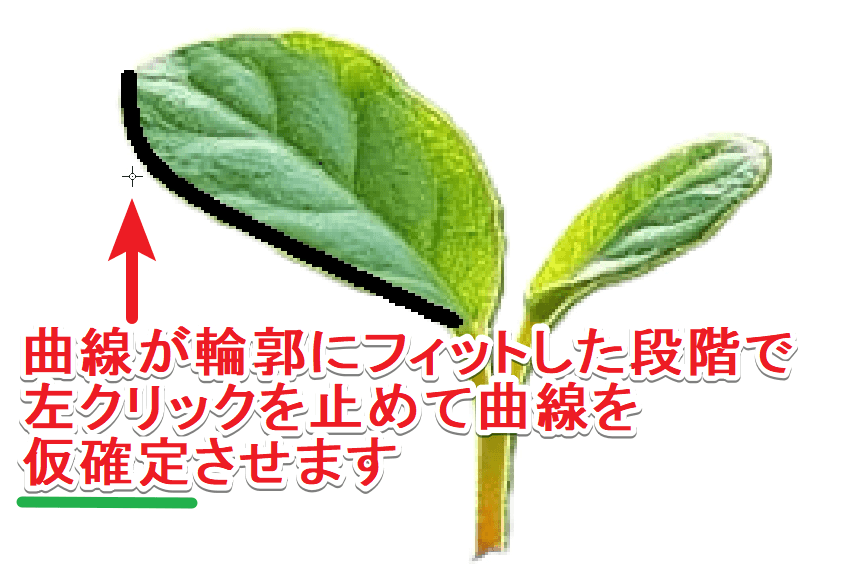 曲線の仮確定