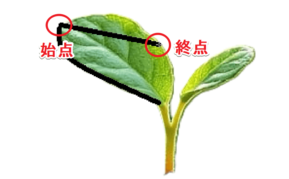 曲線の始点と終点を決めた段階